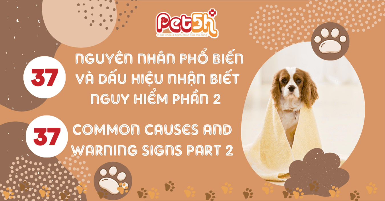 37 nguyên nhân phổ biến và dấu hiệu nhận biết nguy hiểm phần 2