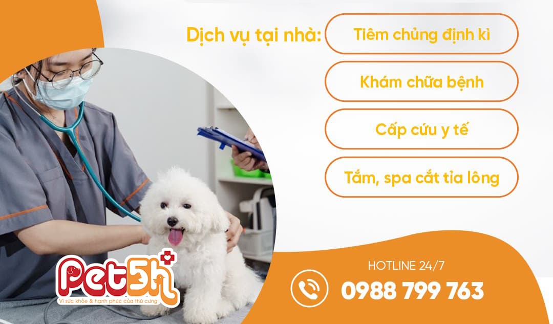 Dịch vụ tại nhà