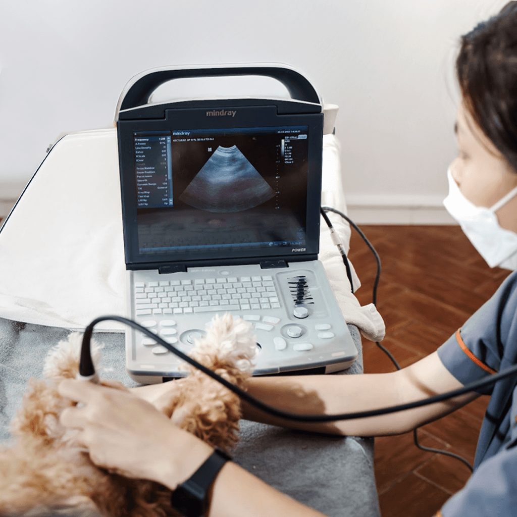 pet5hChẩn đoán hình ảnh