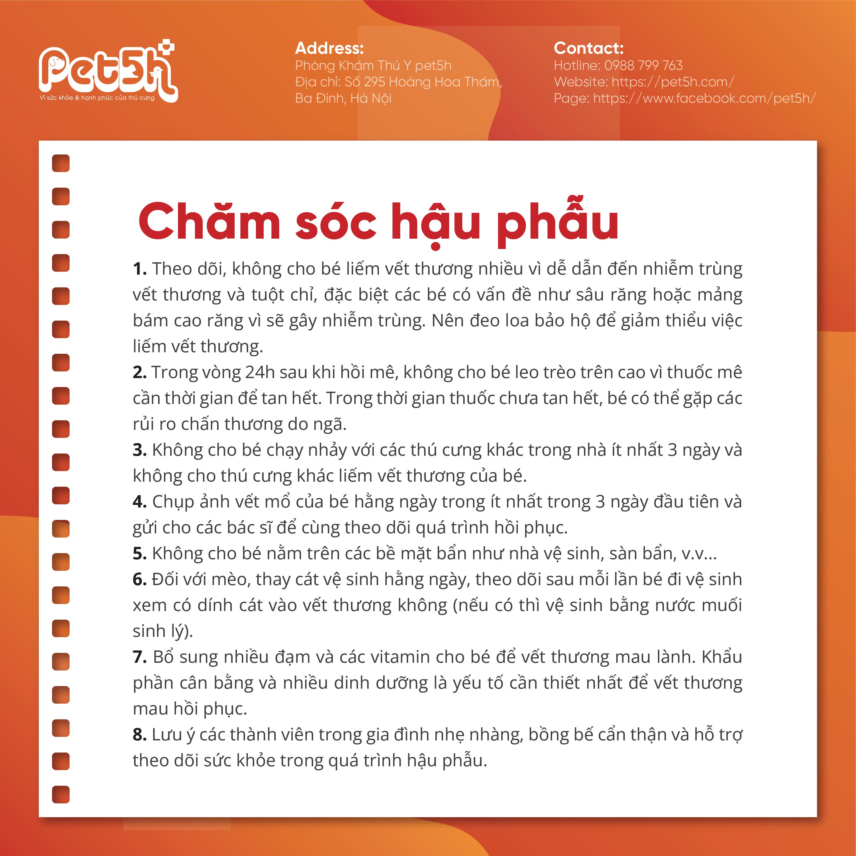 pet5h-Triệt sản