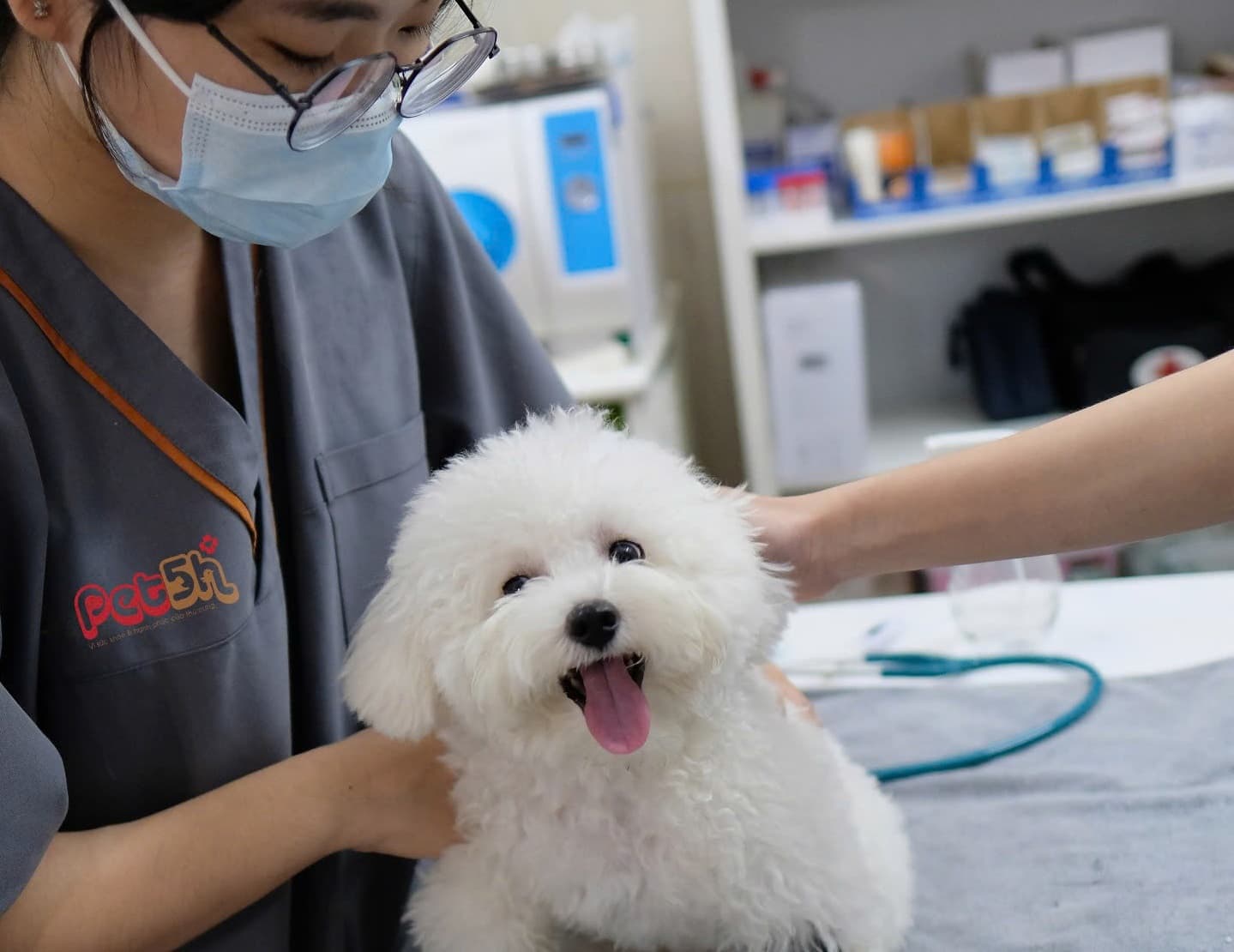 pet5h-Truyền nhiễm