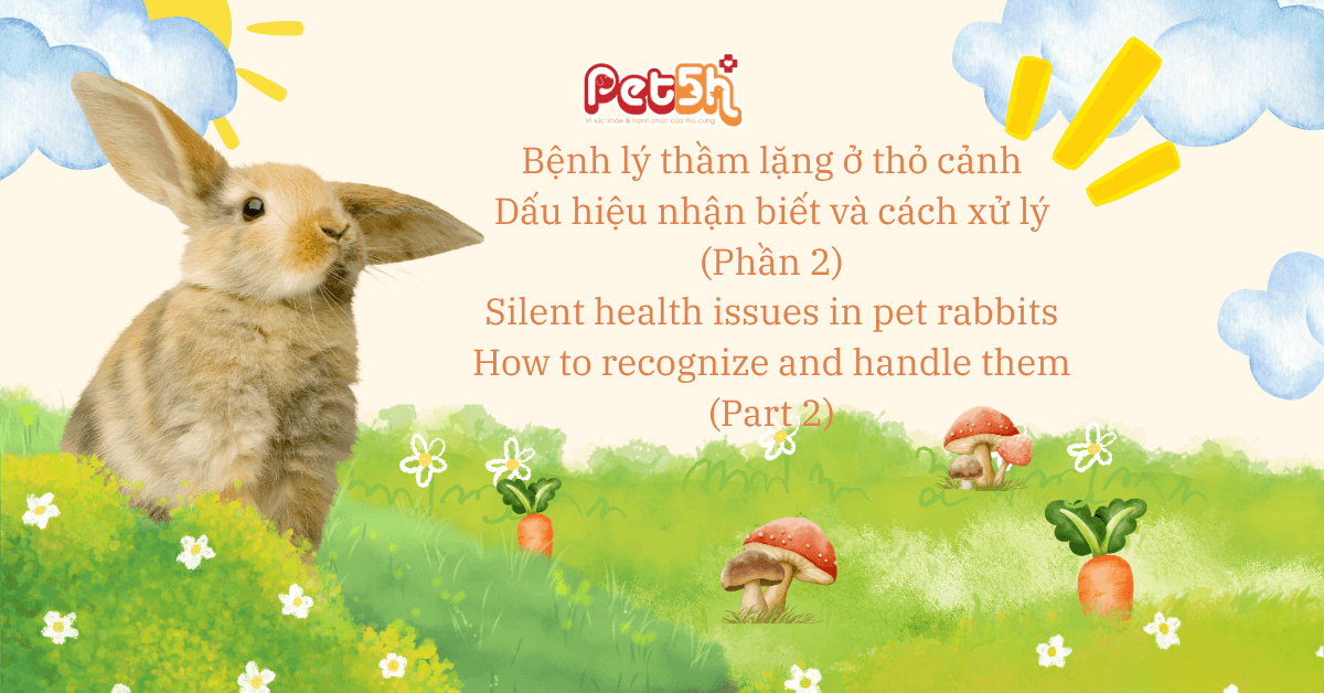 bệnh lý thầm lặng ở thỏ