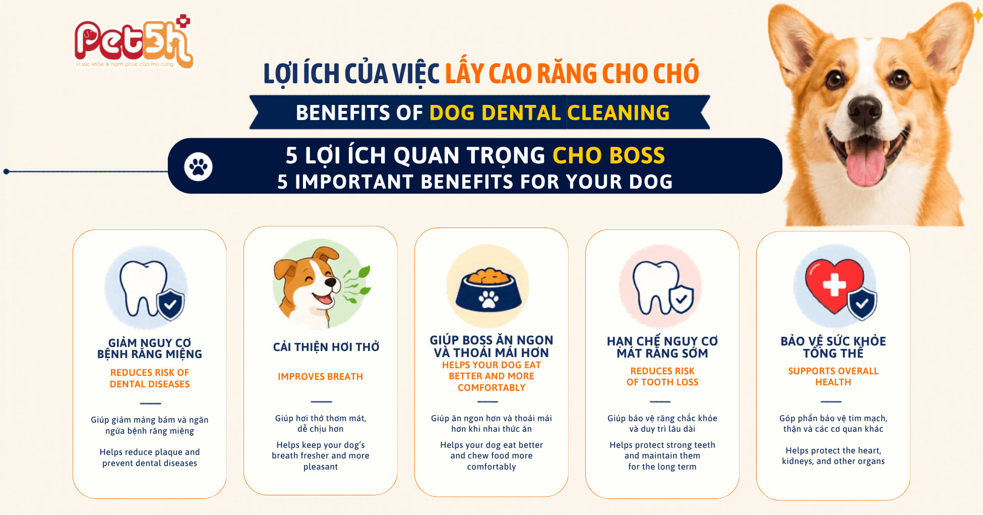 Lợi ích của việc lấy cao răng cho chó