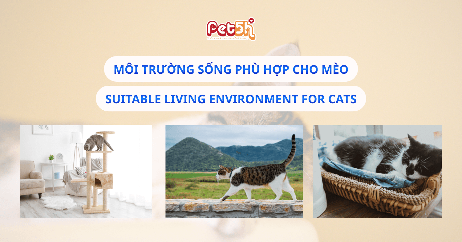 môi trường sống phù hợp