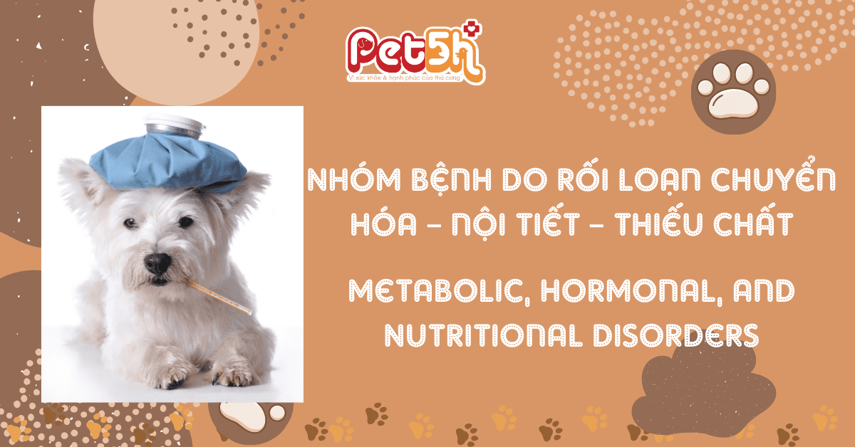 nhóm bệnh rối loạn