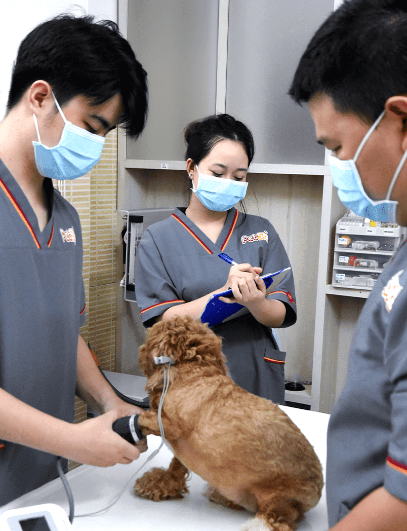 pet5h-Tầm soát bệnh
